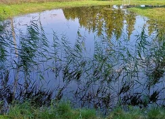 Idiliška sodyba prie Kuršių marių – viskas, ko reikia poilsiui!