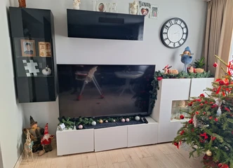 Svetainės baldai pigiau: stilizuotos spinteles!