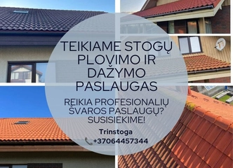 Stogų plovimas ir dažymas – greitai ir kokybiškai!