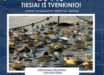 Šviežia žuvis tiesiai iš tvenkinio – nepraleisk!