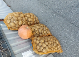 Peržiūrėti skelbimą - Bulvės