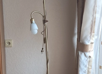 Išskirtinis oranžinis toršeras – 175 cm aukščio