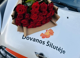 Verslas su ilgamete patirtimi ir puikia reputacija
