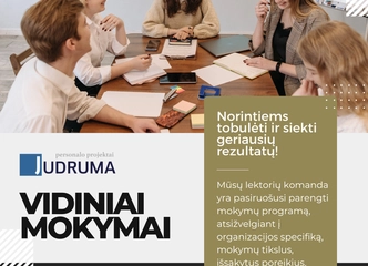 Vidiniai mokymai – jūsų komandos sėkmės raktas!