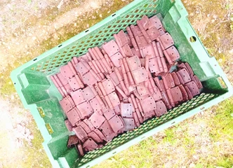 Unikalūs Senų laikų vyriai, puiki kaina ir galimybė siųsti!