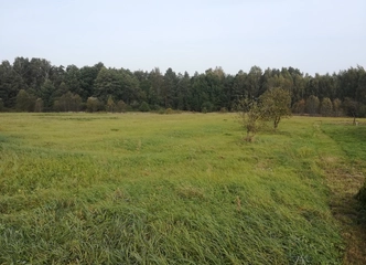 1,7 ha žemės sklypas Šilutės rajone – ramybės oazė