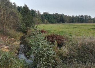Žemės sklypas Šilutėje – gamtos grožis ir ramybė
