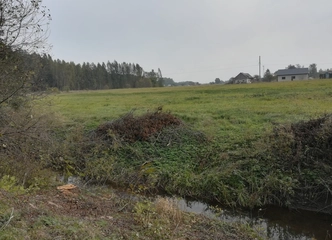 1,7 ha sklypas prie miško – puiki galimybė įsigyti